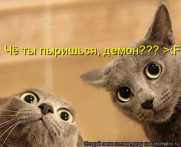 Котоматрица: Чё ты пыришься, демон??? >:F