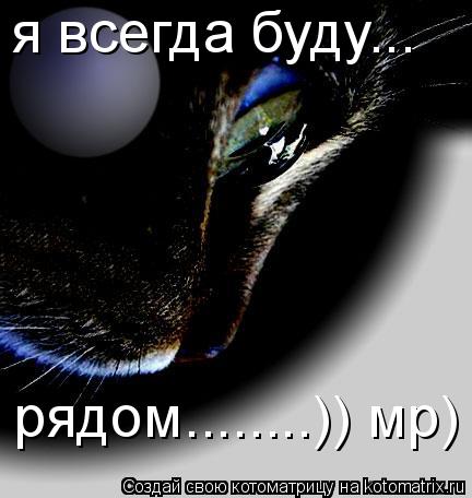 Котоматрица: я всегда буду... рядом........)) мр)