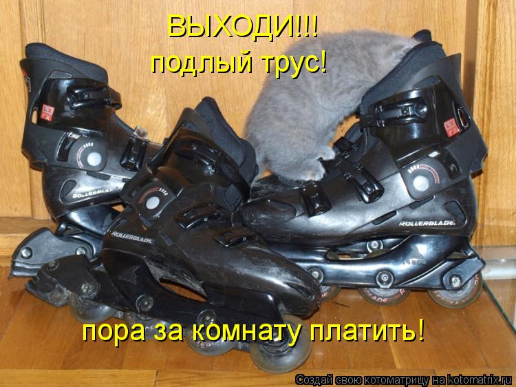 Котоматрица: ВЫХОДИ!!! подлый трус! пора за комнату платить!