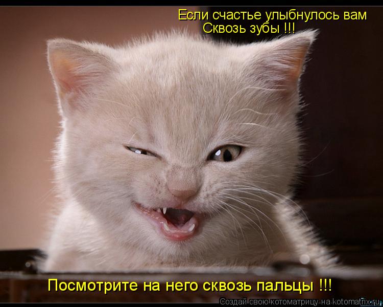 Котоматрица: Если счастье улыбнулось вам Сквозь зубы !!! Посмотрите на него сквозь пальцы !!!