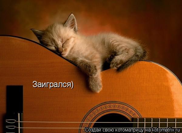 Котоматрица: Заигрался)