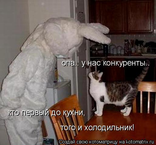 Котоматрица: опа.. у нас конкуренты..  кто первый до кухни,  того и холодильник!