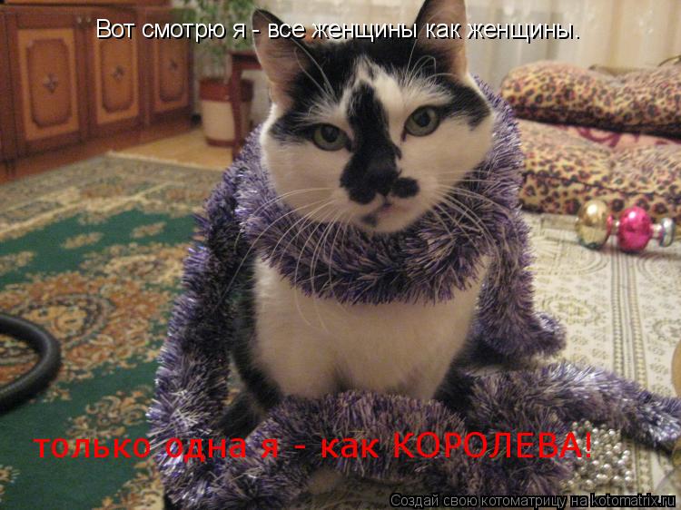 Котоматрица: Вот смотрю я - все женщины как женщины. только одна я - как КОРОЛЕВА!