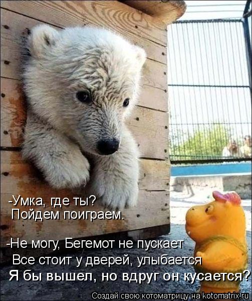 Котоматрица: -Умка, где ты?  Пойдем поиграем. -Не могу, Бегемот не пускает Я бы вышел, но вдруг он кусается? Все стоит у дверей, улыбается