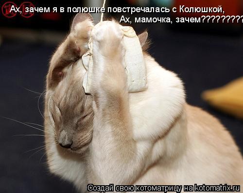Котоматрица: Ах, зачем я в полюшке повстречалась с Колюшкой, Ах, мамочка, зачем?????????