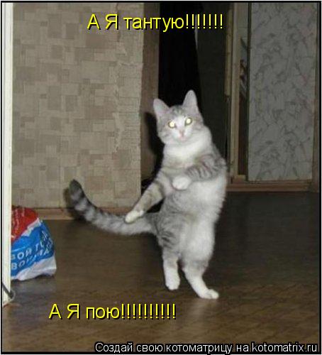 А Я тантую!!!!!!! А Я тантую!!!!!!! А Я пою!!!!!!!!!!... Котоматрица: А Я тантую!!!!!!! А Я тантую!!!!!!! А Я пою!!!!!!!!!!