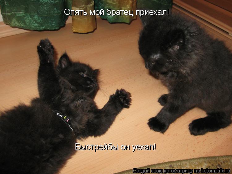 Быстрейбы он уехал! Опять мой братец приехал! Опять мой братец приехал! Опять мой братец приехал!... Котоматрица: Быстрейбы он уехал! Опять мой братец приехал! Опять мой братец приехал! Опять мой братец приехал!