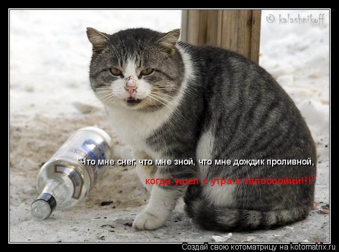 Котоматрица: "Что мне снег, что мне зной, что мне дождик проливной, когда ушел с утра в запооооййй!!!"