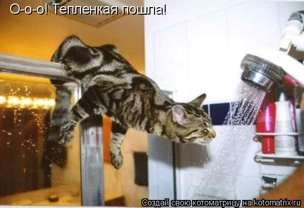 Котоматрица: О-о-о! Тепленкая пошла!