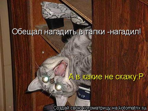 Котоматрица: Обещал нагадить в тапки -нагадил! А в какие не скажу:Р
