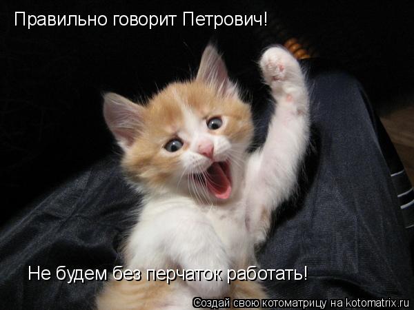 Котоматрица: Правильно говорит Петрович!  Не будем без перчаток работать!