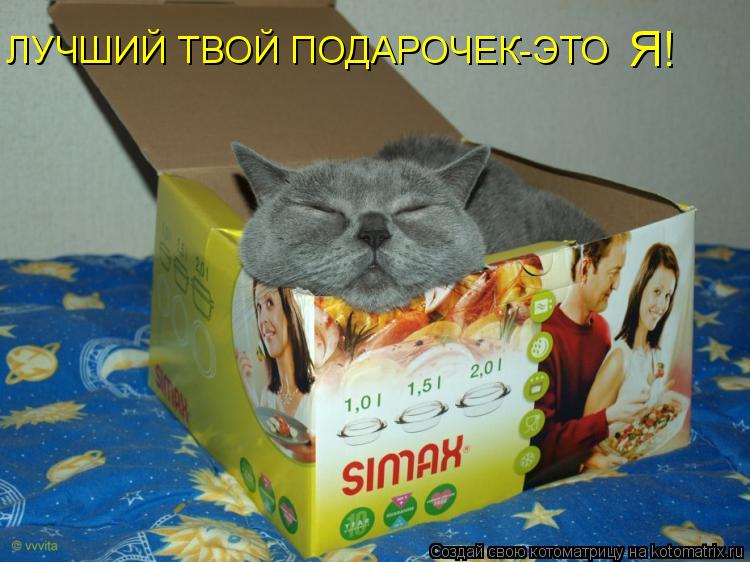ЛУЧШИЙ ТВОЙ ПОДАРОЧЕК-ЭТО Я!... Котоматрица: ЛУЧШИЙ ТВОЙ ПОДАРОЧЕК-ЭТО Я!