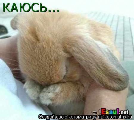 КАЮСЬ...... Котоматрица: КАЮСЬ...