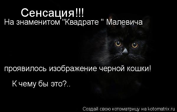 Котоматрица: Сенсация!!! На знаменитом "Квадрате " Малевича  проявилось изображение черной кошки! К чему бы это?..