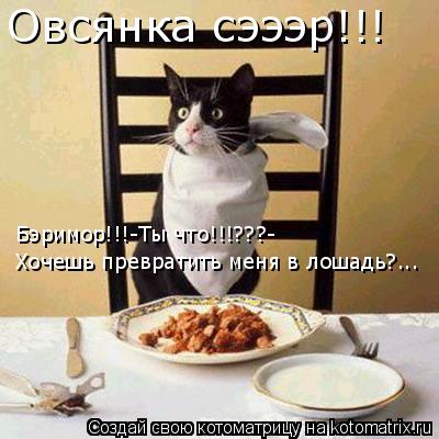 Котоматрица: Овсянка сэээр!!! Бэримор!!!-Ты что!!!???- Хочешь превратить меня в лошадь?...