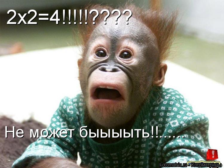 Котоматрица: 2х2=4!!!!!???? Не может быыыыть!!......