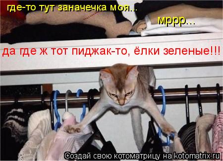 Котоматрица: где-то тут заначечка моя... мррр... да где ж тот пиджак-то, ёлки зеленые!!!