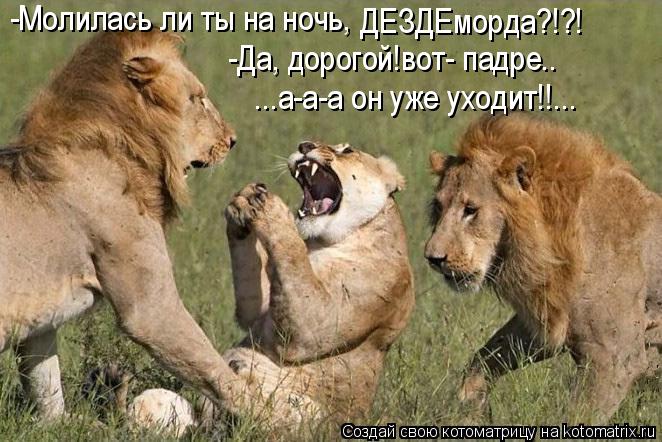 Котоматрица: -Молилась ли ты на ночь, -Да, дорогой!вот- падре.. ...а-а-а он уже уходит!!... ДЕЗДЕморда?!?!