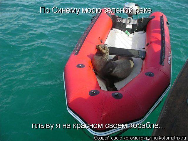Котоматрица: По Синему морю зеленой реке  плыву я на красном своем корабле...