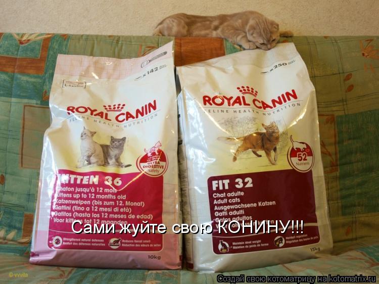 Сами жуйте свою КОНИНУ!!!... Котоматрица: Сами жуйте свою КОНИНУ!!!