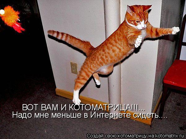 Надо мне меньше в Интернете сидеть.... ВОТ ВАМ И КОТОМАТРИЦА!!!...... Котоматрица: Надо мне меньше в Интернете сидеть.... ВОТ ВАМ И КОТОМАТРИЦА!!!...