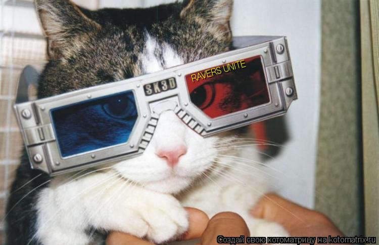 RAVERS UNITE... Котоматрица: RAVERS UNITE