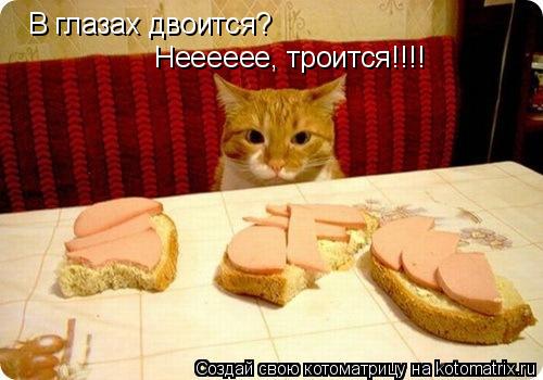 В глазах двоится? Нееееее, троится!!!!... Котоматрица: В глазах двоится? Нееееее, троится!!!!