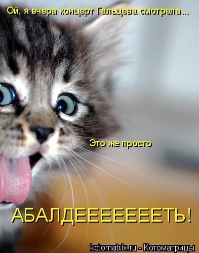 Ой, я вчера концерт Гальцева смотрела... Это же просто АБАЛДЕЕЕЕЕЕЕТЬ!... Котоматрица: Ой, я вчера концерт Гальцева смотрела... Это же просто АБАЛДЕЕЕЕЕЕЕТЬ!
