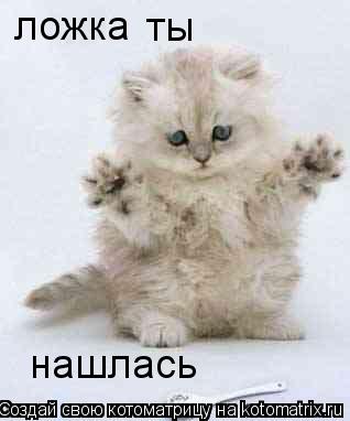 ложка ты нашлась... Котоматрица: ложка ты нашлась