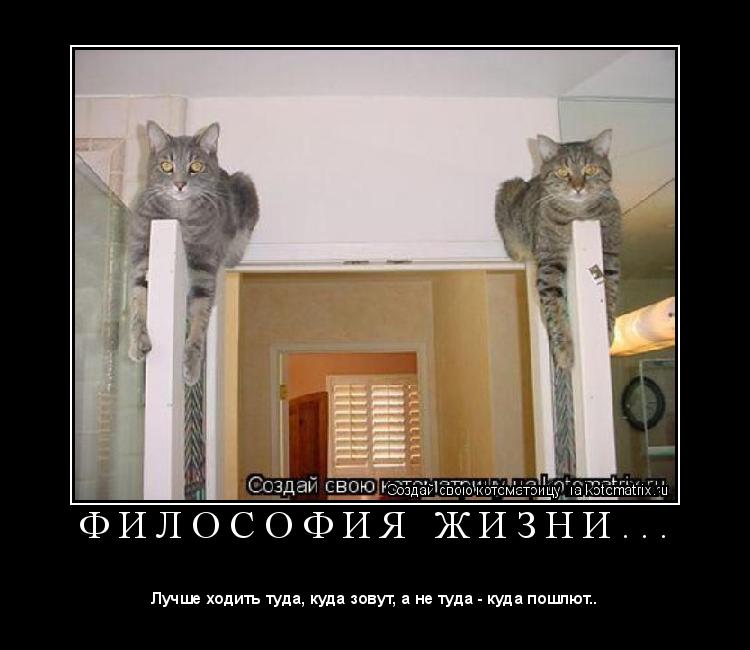 Котоматрица: Ф И Л О С О Ф И Я   Ж И З Н И . . . 