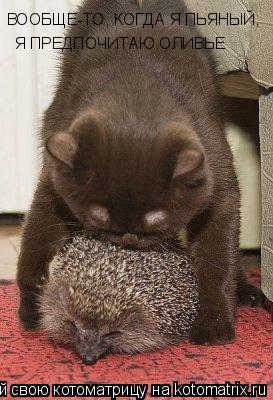 ВООБЩЕ-ТО, КОГДА Я ПЬЯНЫЙ, Я ПРЕДПОЧИТАЮ ОЛИВЬЕ... Котоматрица: ВООБЩЕ-ТО, КОГДА Я ПЬЯНЫЙ, Я ПРЕДПОЧИТАЮ ОЛИВЬЕ