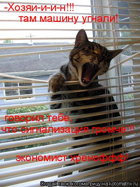 Котоматрица: -Хозяи-и-и-н!!!  там машину угнали!  говорил тебе,  что сигнализация громче!!! экономист хреноффф!