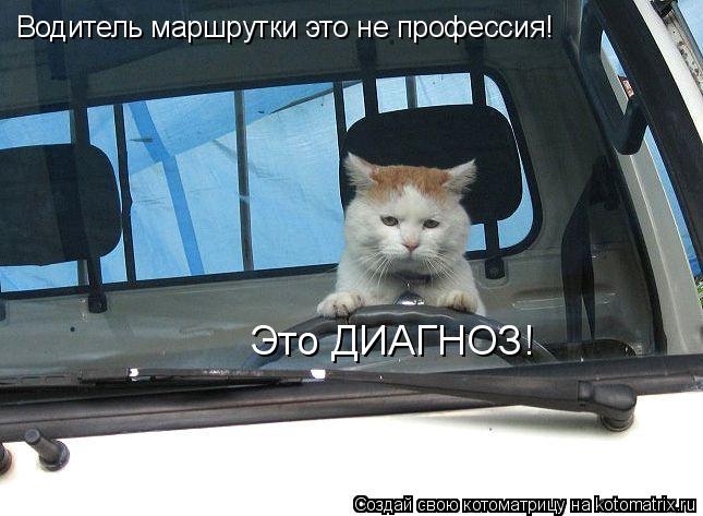 Водитель маршрутки это не профессия! Это ДИАГНОЗ!... Котоматрица: Водитель маршрутки это не профессия! Это ДИАГНОЗ!