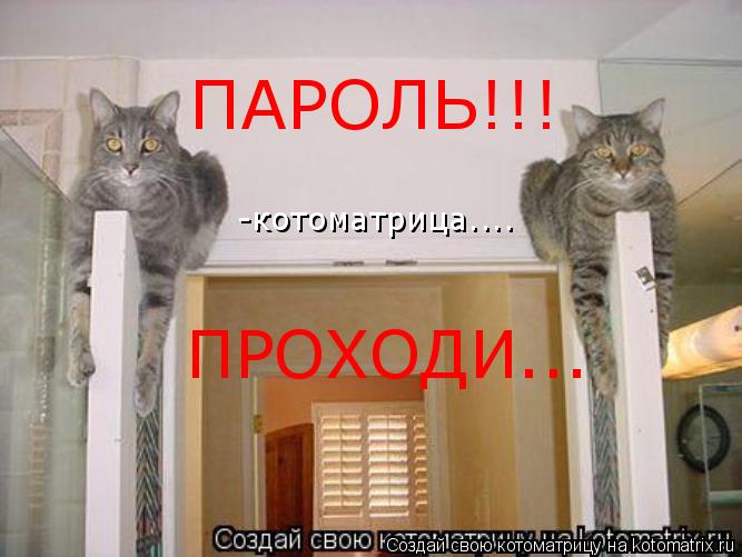 ПАРОЛЬ!!! ПРОХОДИ... -котоматрица....... Котоматрица: ПАРОЛЬ!!! ПРОХОДИ... -котоматрица....