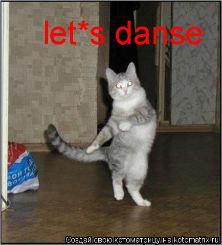 Котоматрица: let*s danse