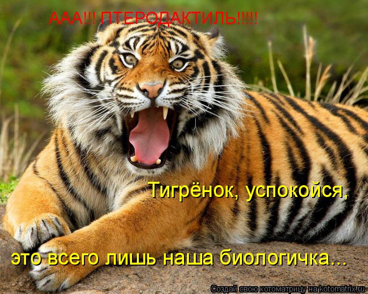 Тигрёнок, успокойся, это всего лишь наша биологичка... ААА!!! ПТЕРОДАКТИЛЬ!!!!!... Котоматрица: Тигрёнок, успокойся, это всего лишь наша биологичка... ААА!!! ПТЕРОДАКТИЛЬ!!!!!
