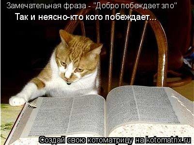 Замечательная фраза - "Добро побеждает зло" Так и неясно-кто кого побеждает...... Котоматрица: Замечательная фраза - "Добро побеждает зло" Так и неясно-кто кого побеждает...