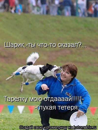Котоматрица: Шарик,-ты что-то сказал?... Тарелку мою отдаааай!!!!!- -глухая тетеря......