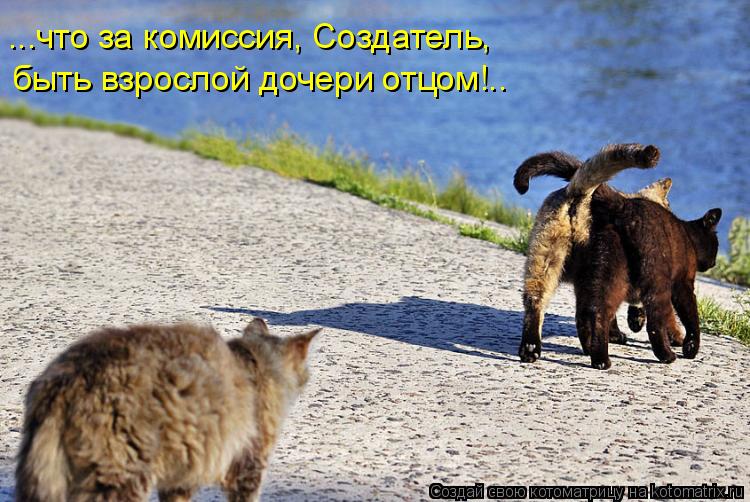 ...что за комиссия, Создатель, быть взрослой дочери отцом!..... Котоматрица: ...что за комиссия, Создатель, быть взрослой дочери отцом!..