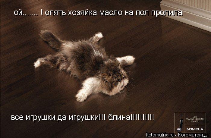 ой....... ! опять хозяйка масло на пол пролила все игрушки да игрушки!!! блина!!!!!!!!!!... Котоматрица: ой....... ! опять хозяйка масло на пол пролила все игрушки да игрушки!!! блина!!!!!!!!!!