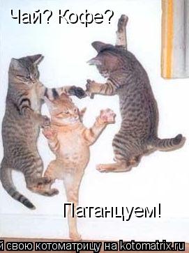 Котоматрица: Чай? Кофе?  Патанцуем!