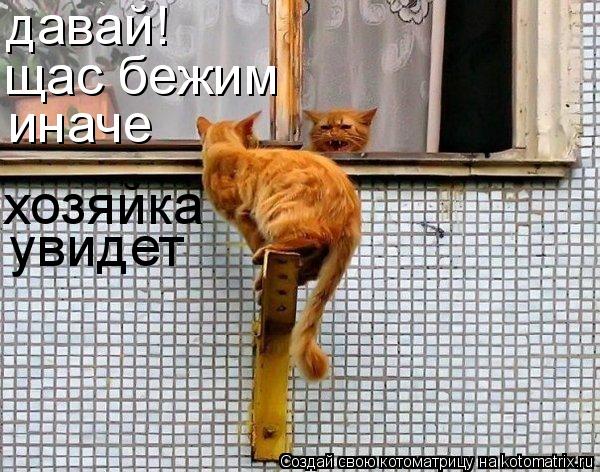 Котоматрица: давай! щас бежим иначе хозяйка увидет