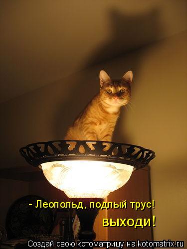 Котоматрица: - Леопольд, подлый трус! выходи!