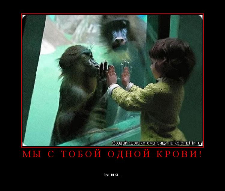 Котоматрица: М Ы   С   Т О Б О Й   О Д Н О Й   К Р О В И ! 