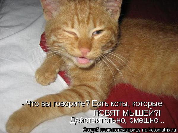 - Что вы говорите? Есть коты, которые ЛОВЯТ МЫШЕЙ?! Действительно, смешно...... Котоматрица: - Что вы говорите? Есть коты, которые ЛОВЯТ МЫШЕЙ?! Действительно, смешно...