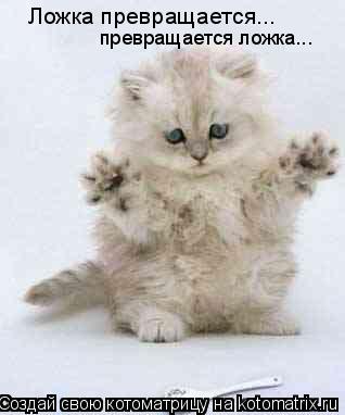 Котоматрица: Ложка превращается... превращается ложка...