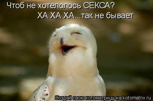 Котоматрица: Чтоб не хотелолось СЕКСА?  ХА ХА ХА...так не бывает