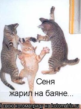 Сеня жарил на баяне...... Котоматрица: Сеня жарил на баяне...