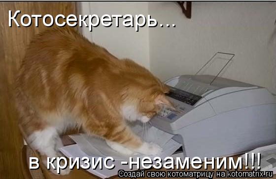 Котосекретарь... в кризис -незаменим!!!... Котоматрица: Котосекретарь... в кризис -незаменим!!!
