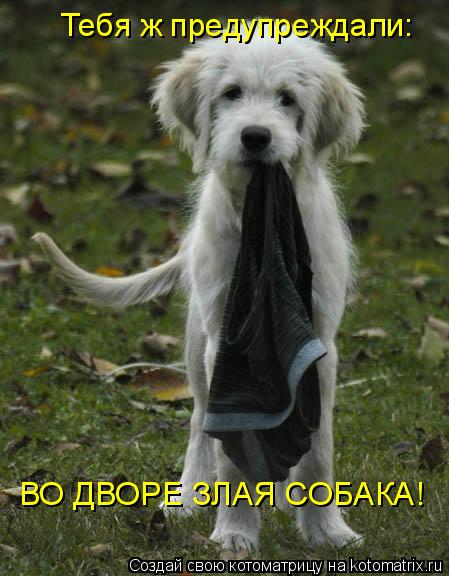Тебя ж предупреждали: ВО ДВОРЕ ЗЛАЯ СОБАКА!... Котоматрица: Тебя ж предупреждали: ВО ДВОРЕ ЗЛАЯ СОБАКА!